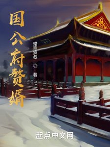 國公府贅婿