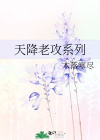 天降老攻系列