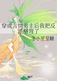 穿成言情男主後我把反派掰彎了